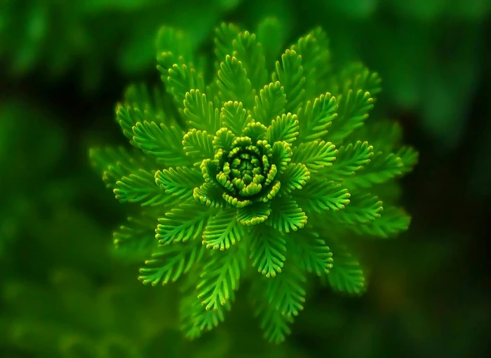 Jurtowisko - warsztaty edukacyjne dla szkół - warsztaty w jurtach - wydarzenia dla szkół (8)